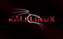 ดาวน์โหลดลีนุกซ์มังกรไฟ Kali Linux มาทดลองแล็ป