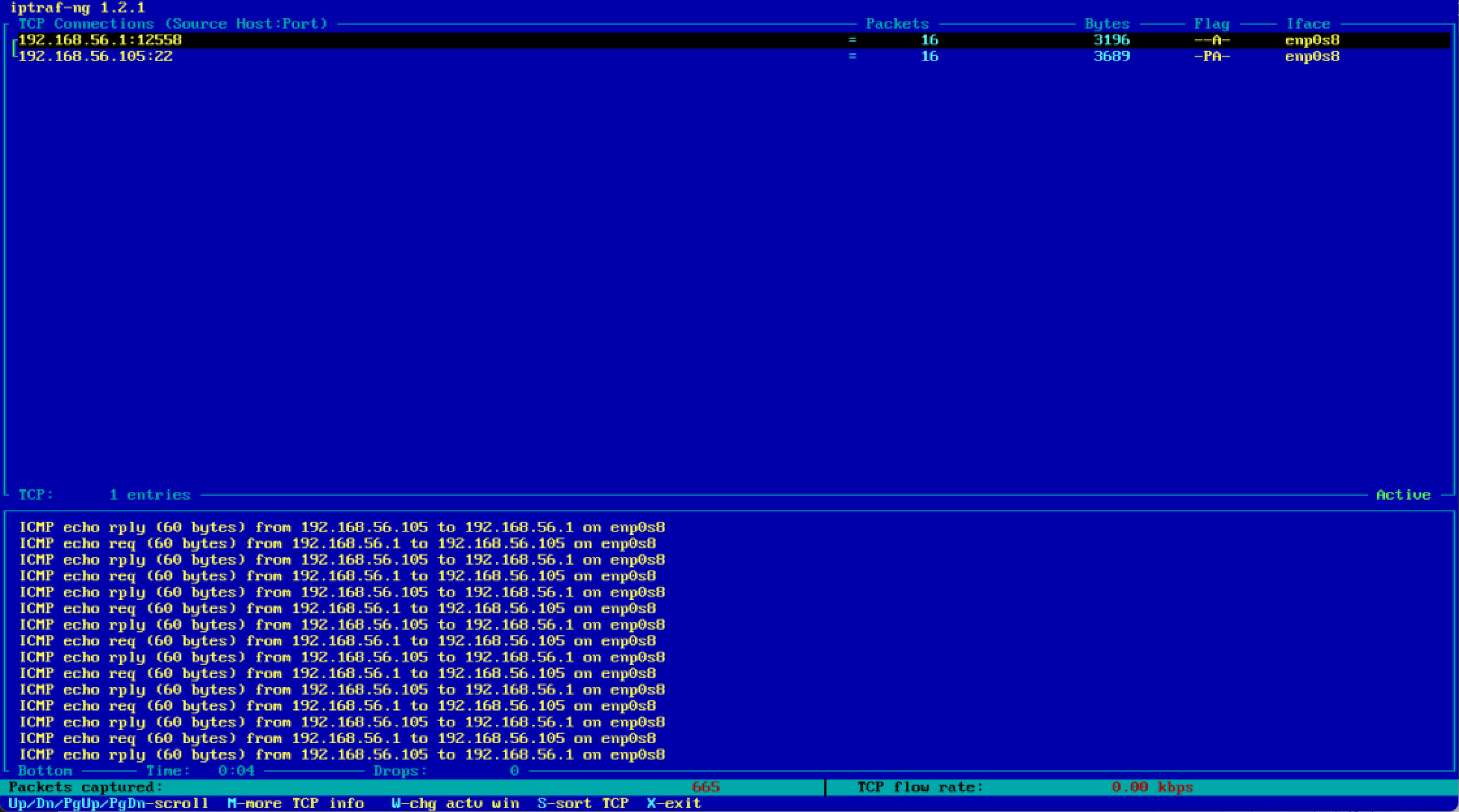 การติดตั้ง Network traffic ทางเทอร์มินิลด้วย IPtraf-NG